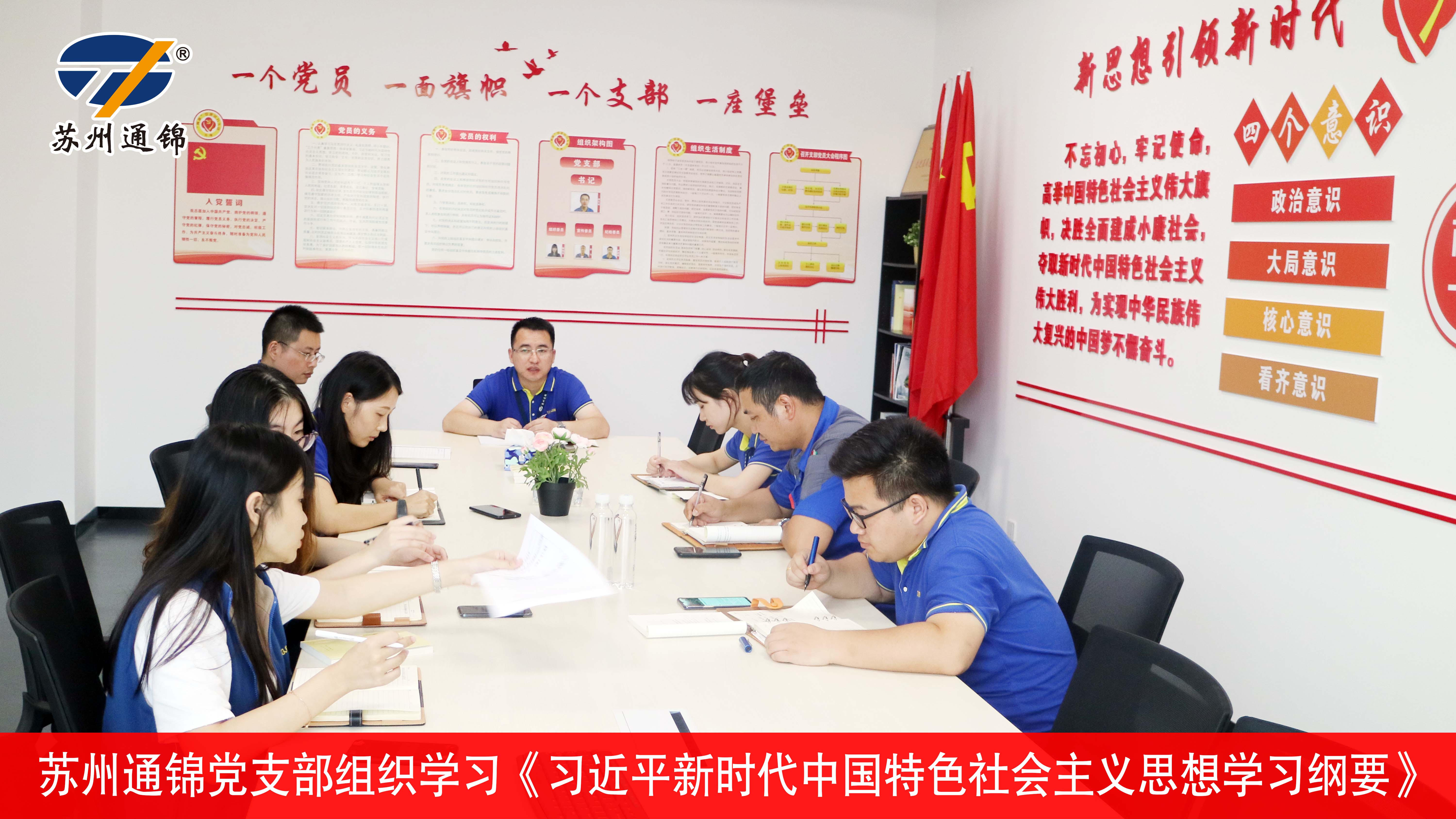 通锦党支部组织学习《近平新时代中国特色社会主义思想学习纲要》